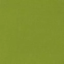 Kona Cotton Gecko , Tessuto Verde Acido Tinta Unita - Robert Kaufman Robert Kaufman - 1