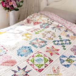 Alice's Wonderland Sampler Quilt : 100 quilt blocks to improve your sewing skills David & Charles - 4