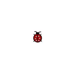Bohin, Patch termoadesivo coccinella metal