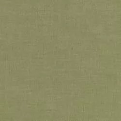 Tilda Chambray Basics Pine, Tessuto Screziato Verde Pino Tilda Fabrics - 1