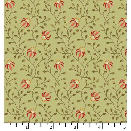 EQP Beyond Time Lily Light Olive
