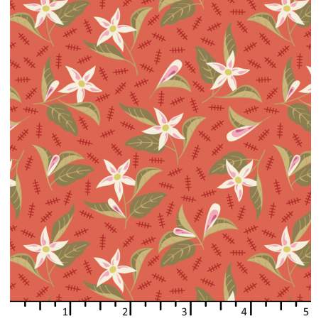 EQP Beyond Time Jasmine Tomato