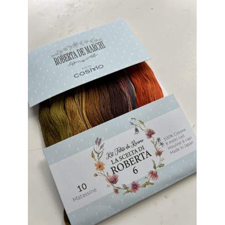 La scelta di Roberta 6 - Kit 10 filati Mouliné Cosmo