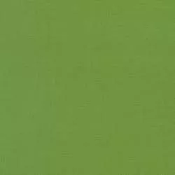 Kona Cotton Grass Green, Tessuto Verde erba Tinta Unita - Robert Kaufman Robert Kaufman - 1