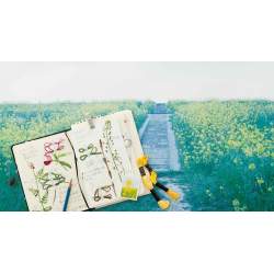 Embroidered Wild Flowers Patterns Inspired by Field And Forest By Kazuko Aoki Roost Books - 4