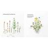 Embroidered Wild Flowers Patterns Inspired by Field And Forest By Kazuko Aoki Roost Books - 5