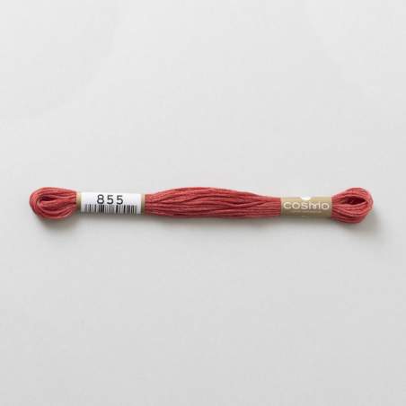 Filo da ricamo giapponese COSMO 855 - Mouliné Size 25 in cotone a 6 capi