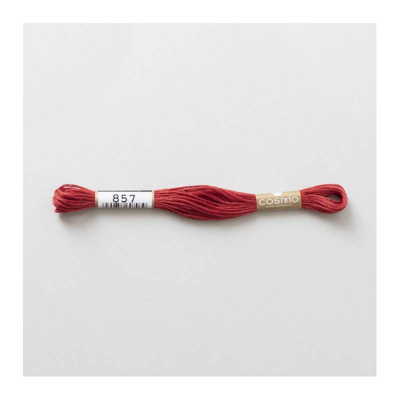 Filo da ricamo giapponese COSMO 857 - Mouliné Size 25 in cotone a 6 capi