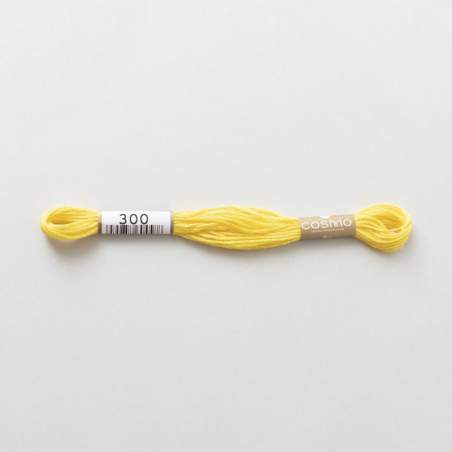 Filo da ricamo giapponese COSMO 300 - Mouliné Size 25 in cotone a 6 capi