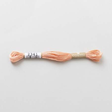 Filo da ricamo giapponese COSMO 2341 - Mouliné Size 25 in cotone a 6 capi