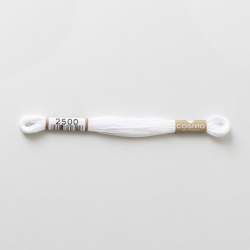 Filo da ricamo giapponese COSMO 2500 - Mouliné Size 25 in cotone a 6 capi