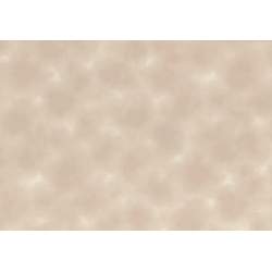 Lecien Canvas in the Sky, Tessuto Beige Sfumato Marmorizzato Lecien Corporation - 1