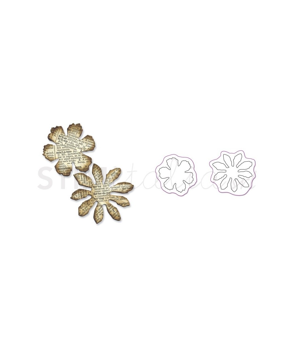 Sizzix, Movers & Shapers Die Magnetic Set 2PK Mini Tattered Florals Set by Tim Holtz Sizzix - Big Shot - 1