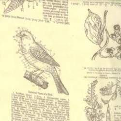 copy of Moda 44077-14 Moda Fabrics - 1