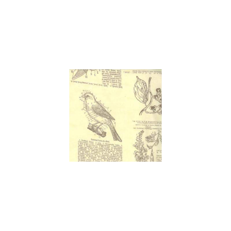 Moda Fabrics, Field Notes Cream, tessuto crema con stampa enciclopedia Moda Fabrics - 1