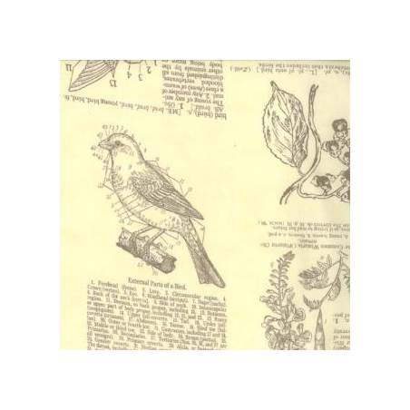 Moda Fabrics, Field Notes Cream, tessuto crema con stampa enciclopedia Moda Fabrics - 1