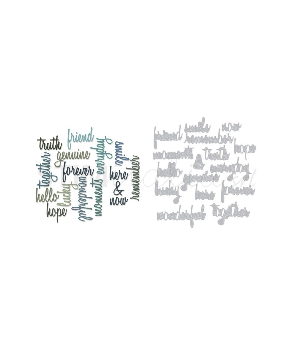 Sizzix, Thinlits Die Set 16PK Friendship Words: Script by Tim Holtz Sizzix - Big Shot - 1