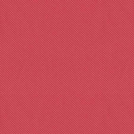 Lecien 31221-30 Lecien Corporation - 1