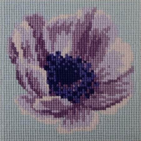 Elizabeth Bradley, Mini Kits, MINI ANEMONE - 6x6 pollici Elizabeth Bradley - 1