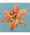 Elizabeth Bradley, Mini Kits, MINI LILY - 6x6 pollici Elizabeth Bradley - 1