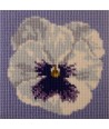 Elizabeth Bradley, Mini Kits, MINI PANSY - 6x6 pollici Elizabeth Bradley - 1