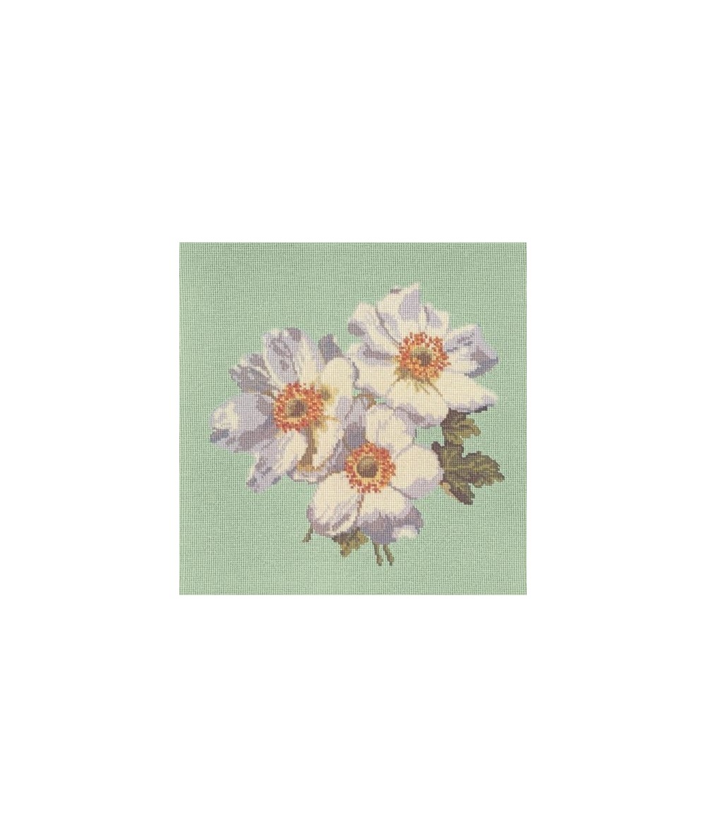 Elizabeth Bradley, Blooms, ANEMONES - 16x16 pollici Elizabeth Bradley - 1