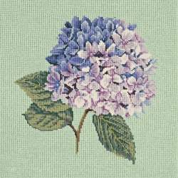 Elizabeth Bradley, Blooms, HYDRANGEA - 16x16 pollici Elizabeth Bradley - 1