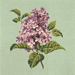 Elizabeth Bradley, Blooms, LILIAC - 16x16 pollici Elizabeth Bradley - 1