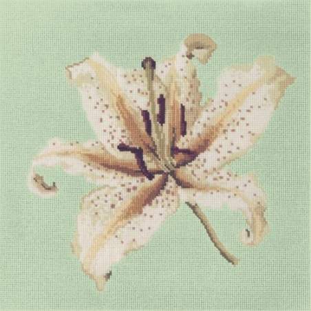 Elizabeth Bradley, Blooms, ORIENTAL LILY - 16x16 pollici Elizabeth Bradley - 1