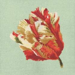 Elizabeth Bradley, Blooms, PARROT TULIP - 16x16 pollici Elizabeth Bradley - 1