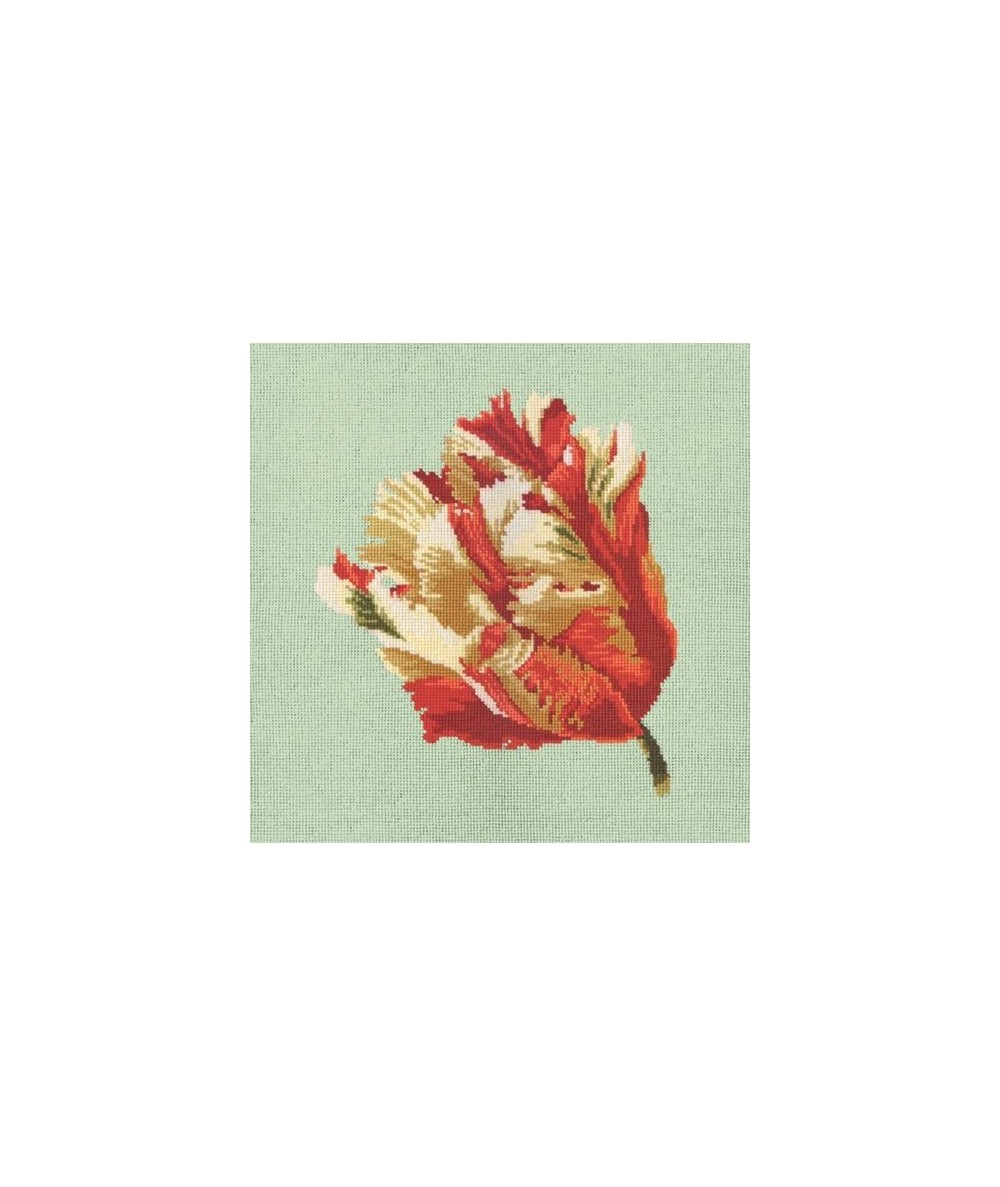 Elizabeth Bradley, Blooms, PARROT TULIP - 16x16 pollici Elizabeth Bradley - 1