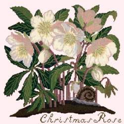 Elizabeth Bradley, Botanical Garden, CHRISTMAS ROSE - 16x16 pollici Elizabeth Bradley - 1