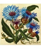 Elizabeth Bradley, Botanical Garden, CORNFLOWER - 16x16 pollici Elizabeth Bradley - 1