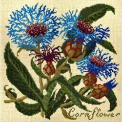 Elizabeth Bradley, Botanical Garden, CORNFLOWER - 16x16 pollici Elizabeth Bradley - 1