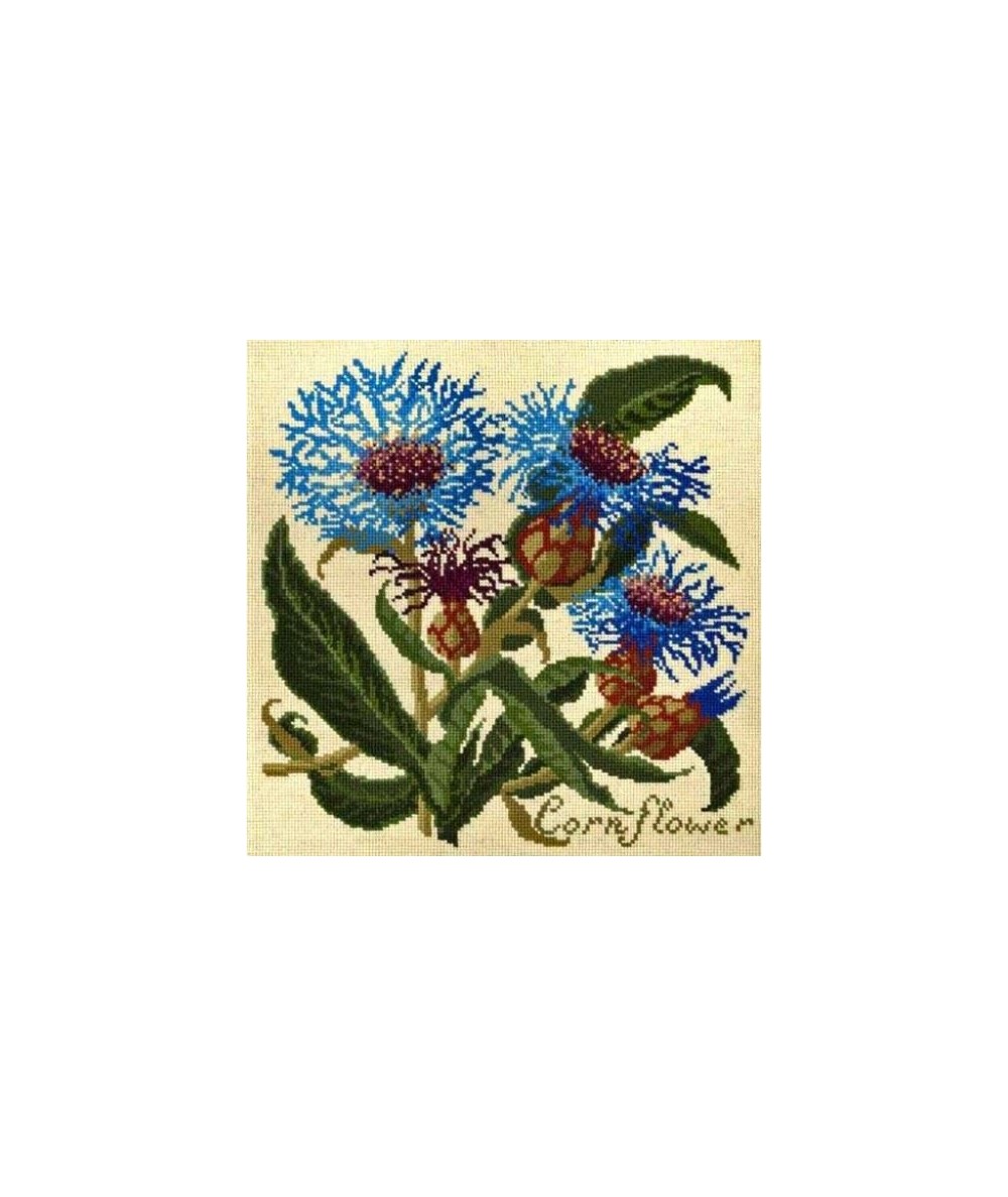 Elizabeth Bradley, Botanical Garden, CORNFLOWER - 16x16 pollici Elizabeth Bradley - 1