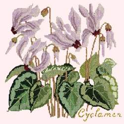 Elizabeth Bradley, Botanical Garden, CYCLAMEN - 16x16 pollici Elizabeth Bradley - 1