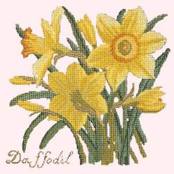 Elizabeth Bradley, Botanical Garden, DAFFODIL - 16x16 pollici Elizabeth Bradley - 1