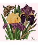 Elizabeth Bradley, Botanical Garden, IRIS - 16x16 pollici Elizabeth Bradley - 1