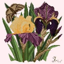 Elizabeth Bradley, Botanical Garden, IRIS - 16x16 pollici Elizabeth Bradley - 1