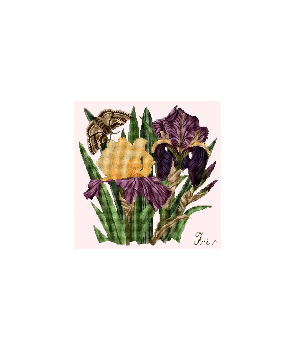 Elizabeth Bradley, Botanical Garden, IRIS - 16x16 pollici Elizabeth Bradley - 1