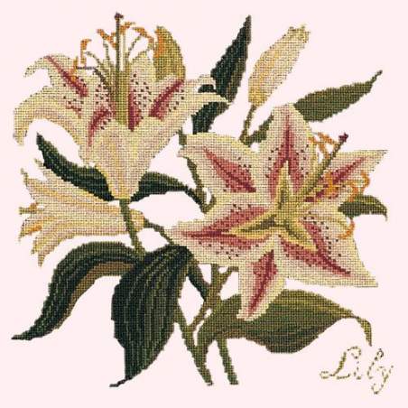 Elizabeth Bradley, Botanical Garden, LILY - 16x16 pollici Elizabeth Bradley - 1