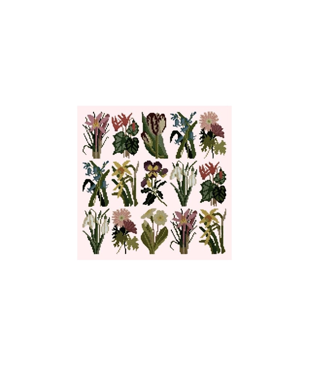 Elizabeth Bradley, Botanical Garden, PRIMAVERA - 16x16 pollici Elizabeth Bradley - 1