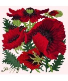 Elizabeth Bradley, Botanical Garden, RED POPPY - 16x16 pollici Elizabeth Bradley - 1