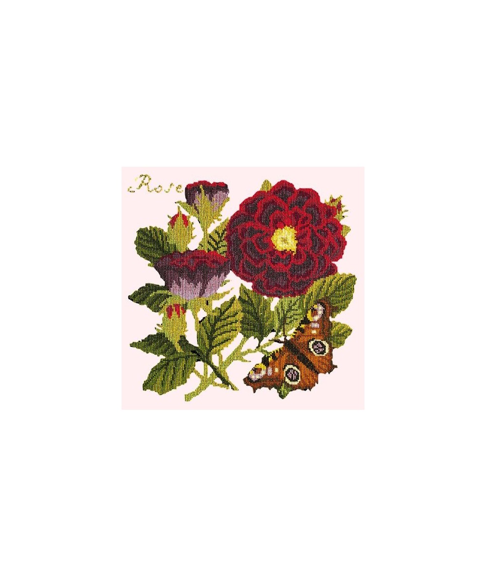 Elizabeth Bradley, Botanical Garden, ROSE - 16x16 pollici Elizabeth Bradley - 1