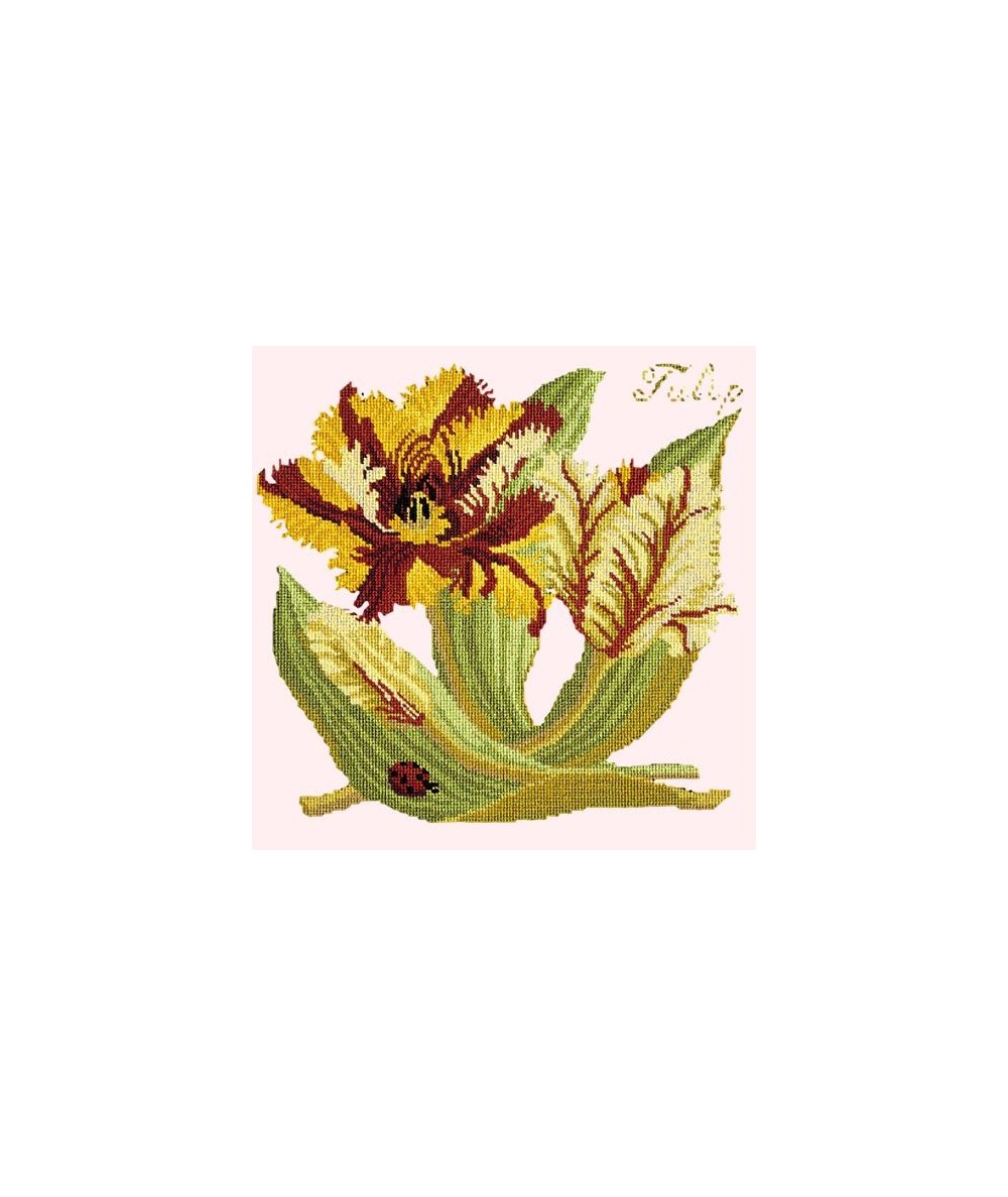 Elizabeth Bradley, Botanical Garden, TULIP - 16x16 pollici Elizabeth Bradley - 1