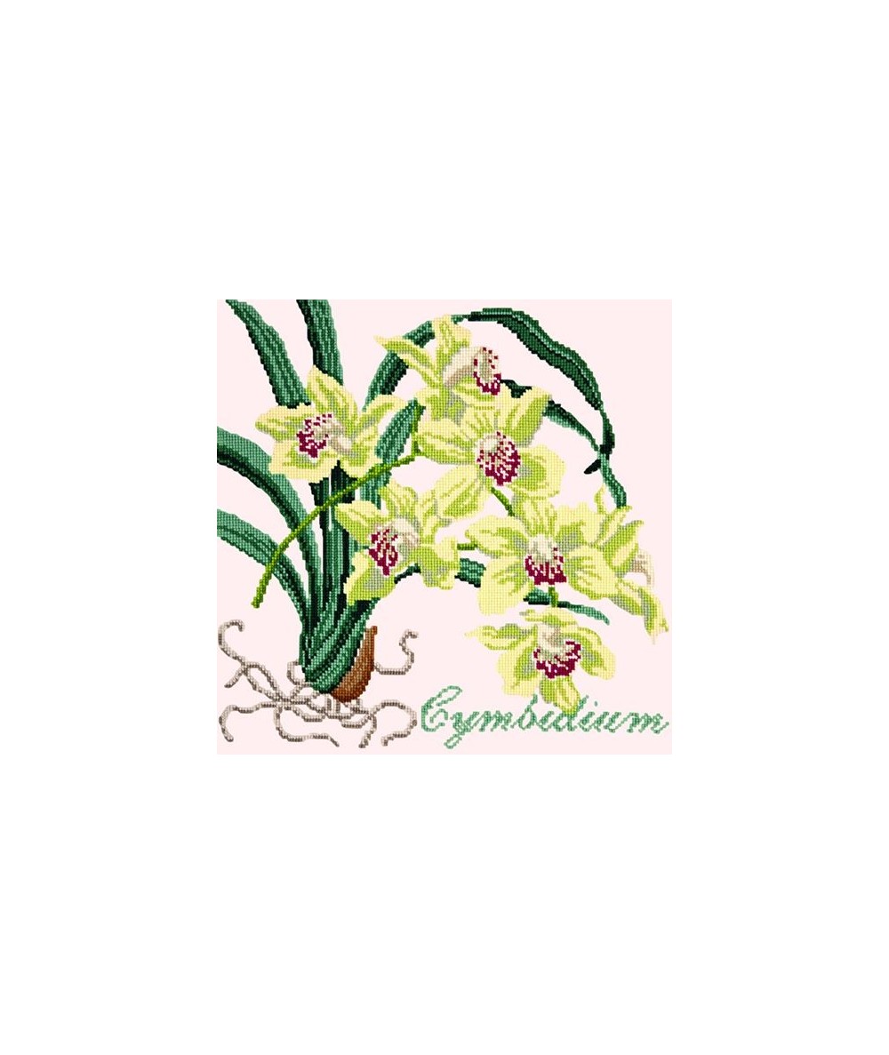 Elizabeth Bradley, Exotics, CYMBIDIUM ORCHID - 16x16 pollici Elizabeth Bradley - 1
