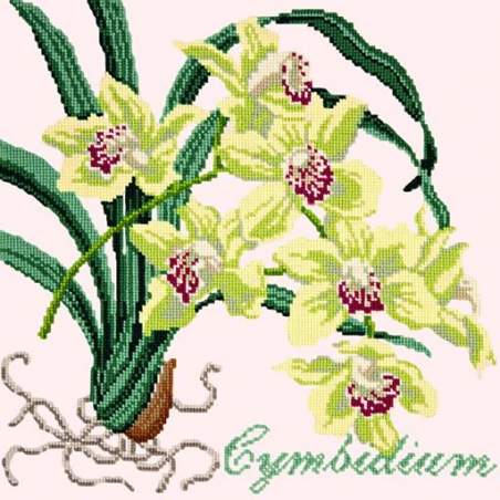 Elizabeth Bradley, Exotics, CYMBIDIUM ORCHID - 16x16 pollici Elizabeth Bradley - 1