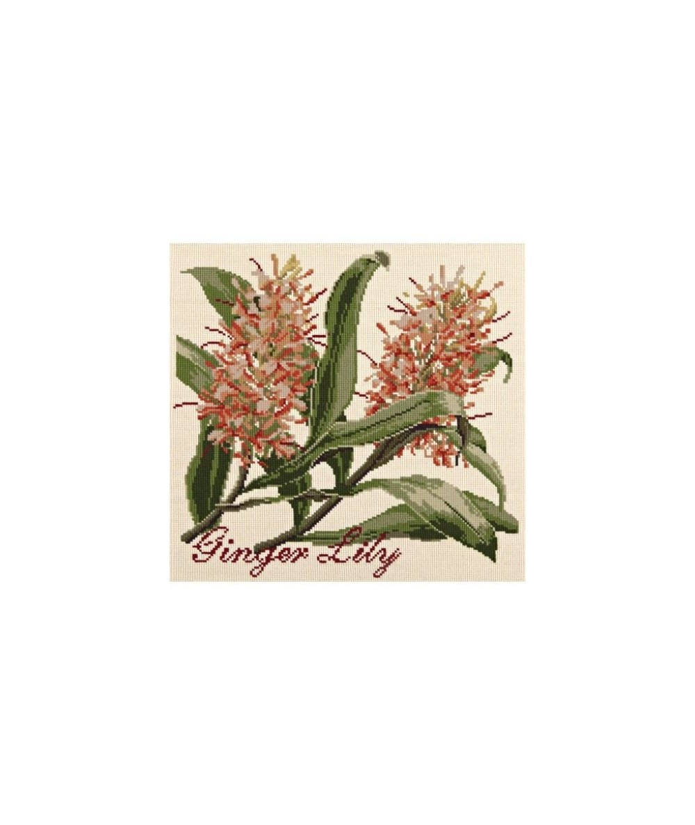 Elizabeth Bradley, Exotics, GINGER LILY - 16x16 pollici Elizabeth Bradley - 1