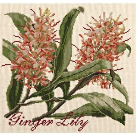 Elizabeth Bradley, Exotics, GINGER LILY - 16x16 pollici Elizabeth Bradley - 1