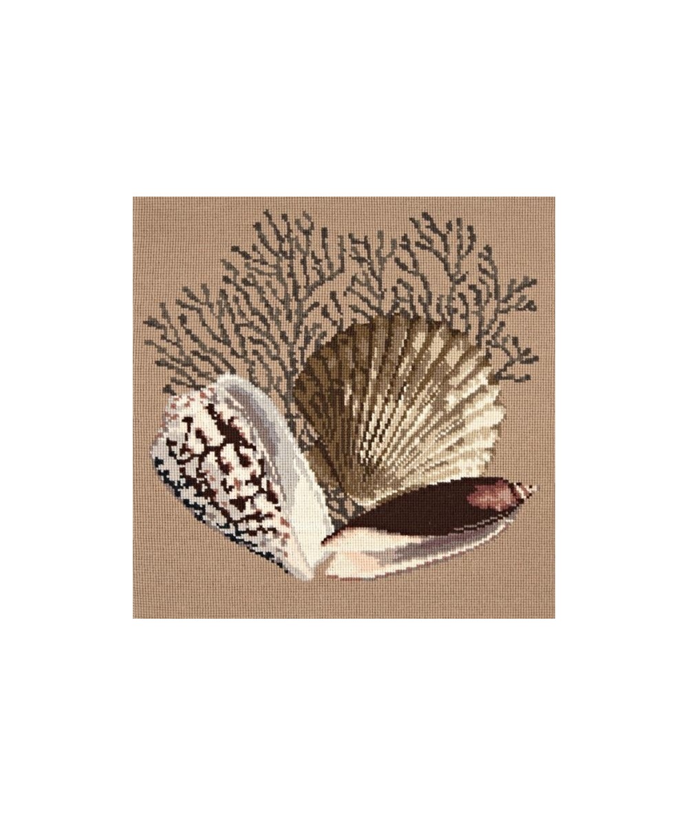 Elizabeth Bradley, Shells, FAN CORAL - 16x16 pollici Elizabeth Bradley - 1